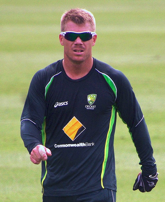 David warner top performer from aus side