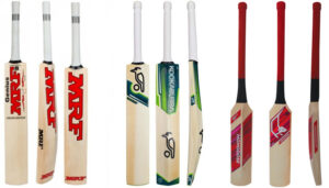 Top cricket bats for the new players